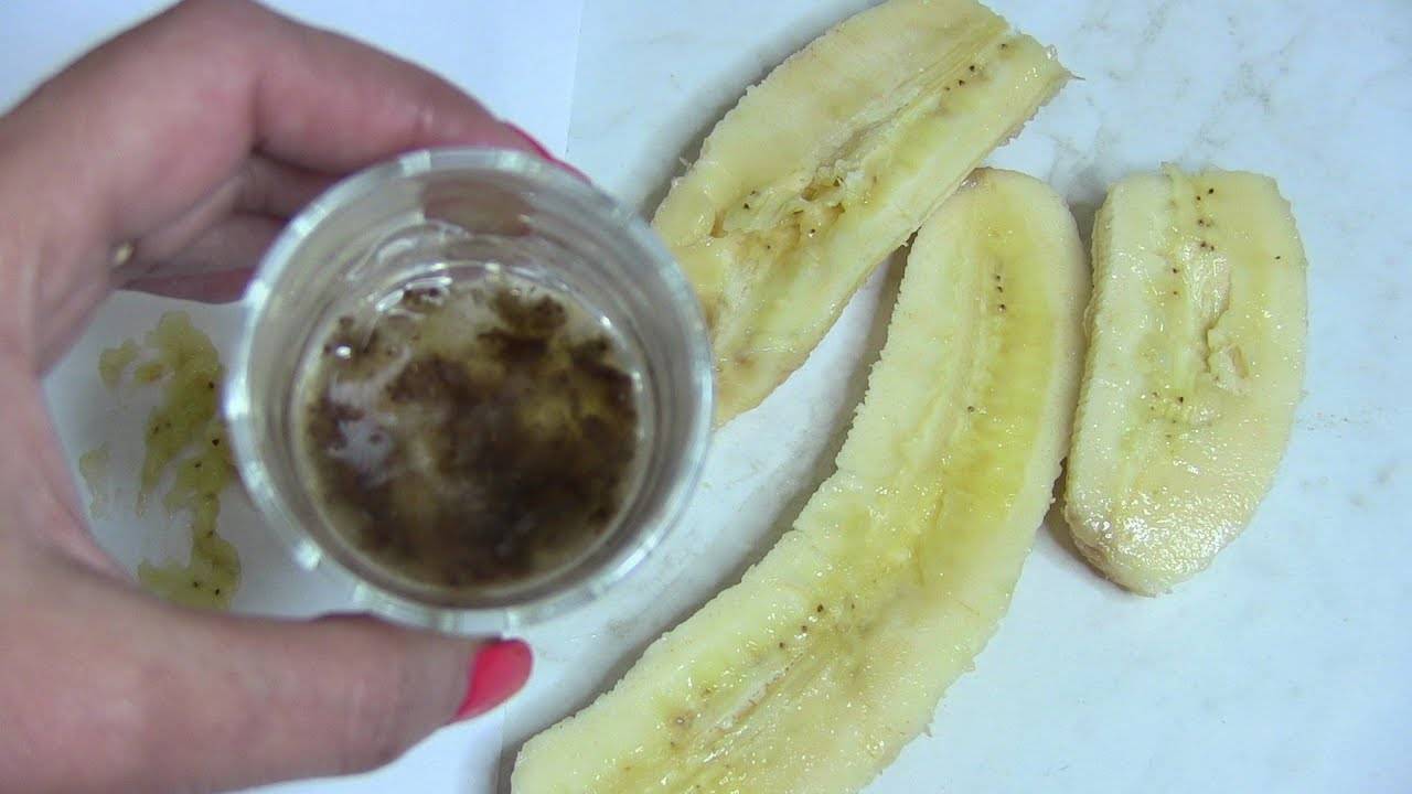 5. podgotovka semjan pokupnogo banana
