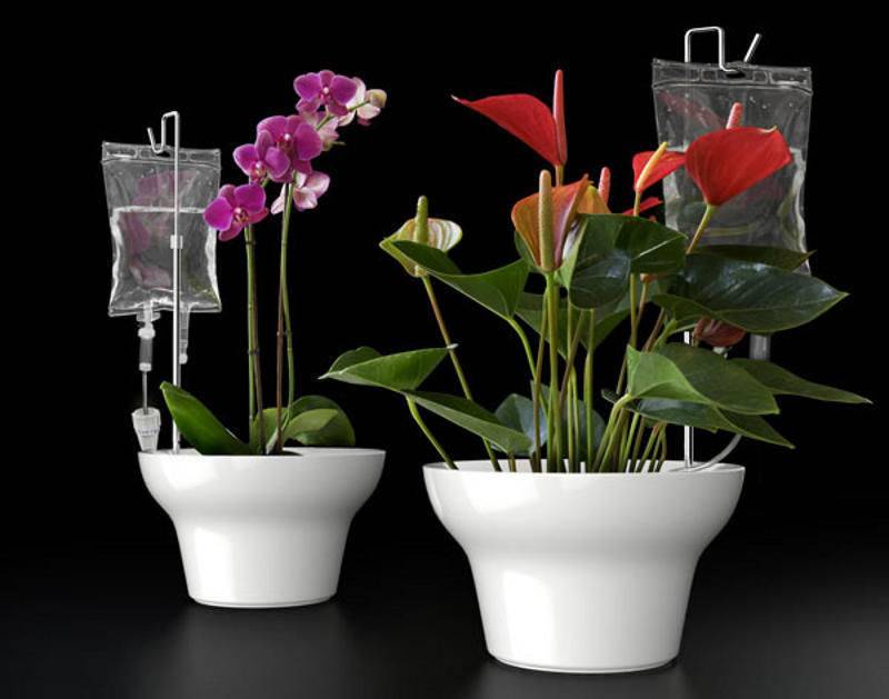 Капельный полив для комнатных растений как из пластиковых бутылок сделать систему капельного полива для домашних цветов своими руками