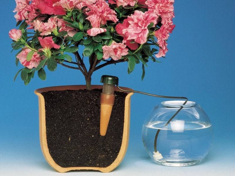 Капельный полив для комнатных растений как из пластиковых бутылок сделать систему капельного полива для домашних цветов своими руками