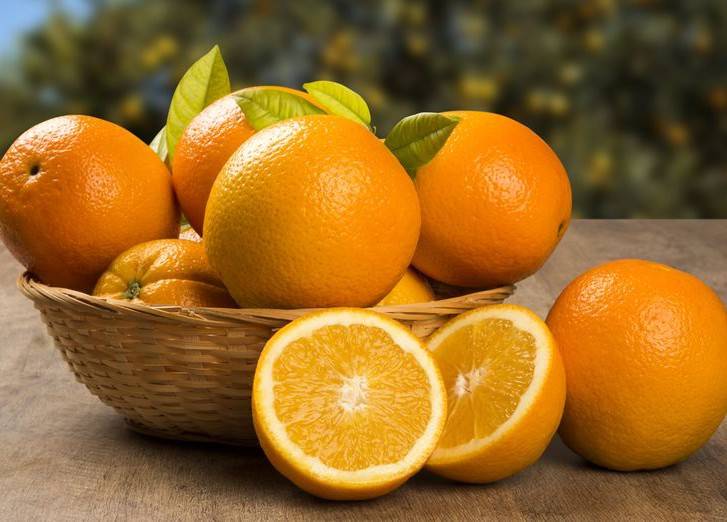 Как правильно выращивать апельсин в домашних условиях?