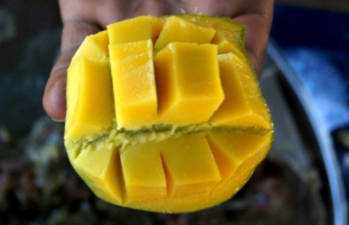 Выращиваем манго из косточки в домашних